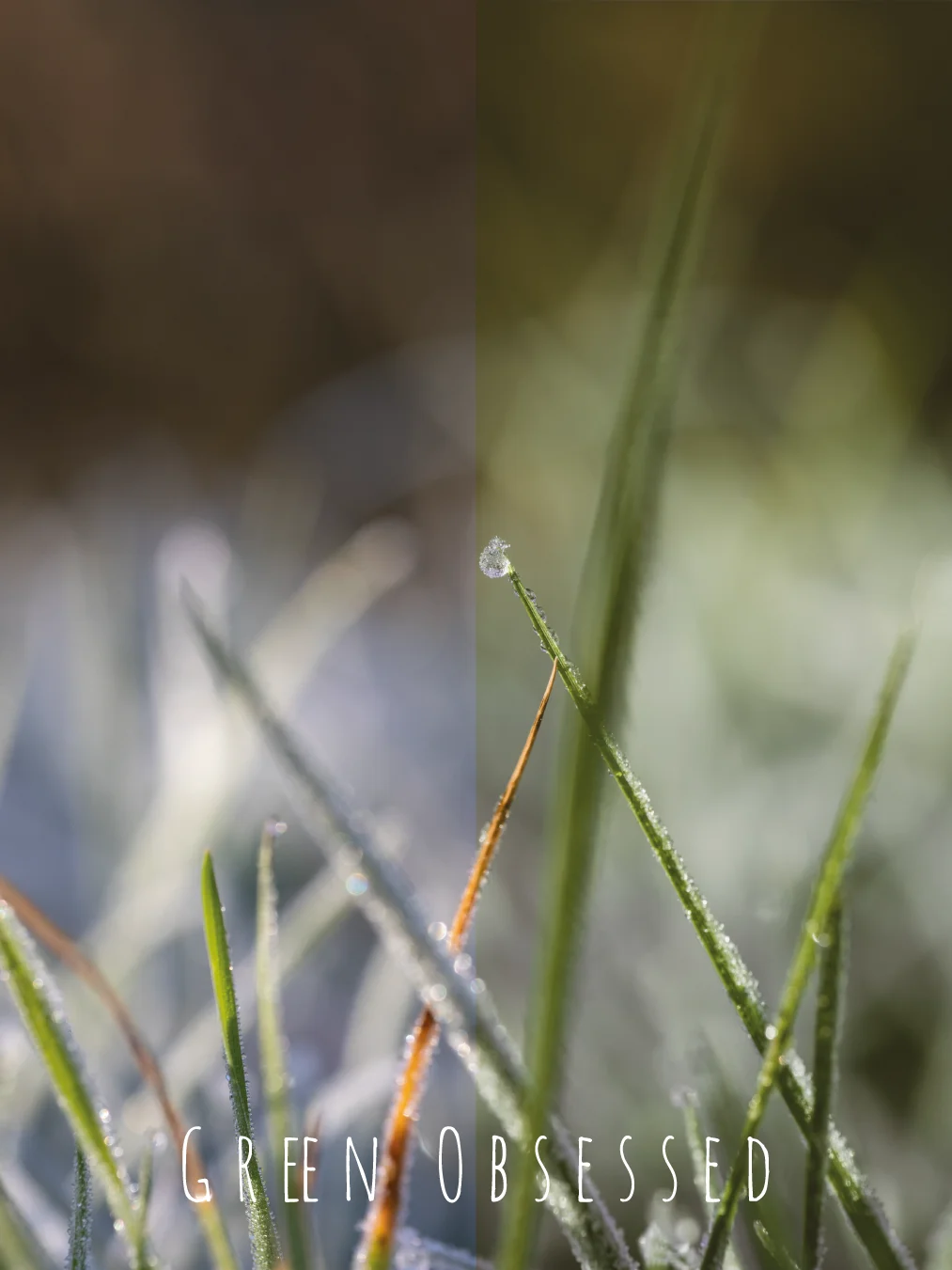 PRESETs PACK product image (7)