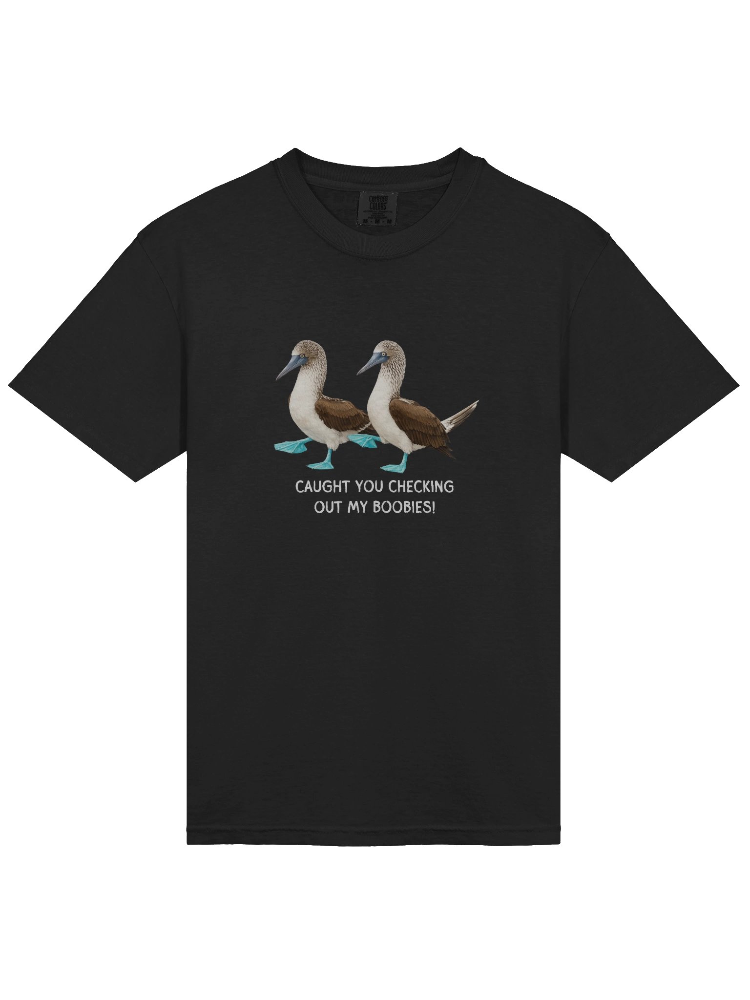 The Blue Footed Booby product image (3)