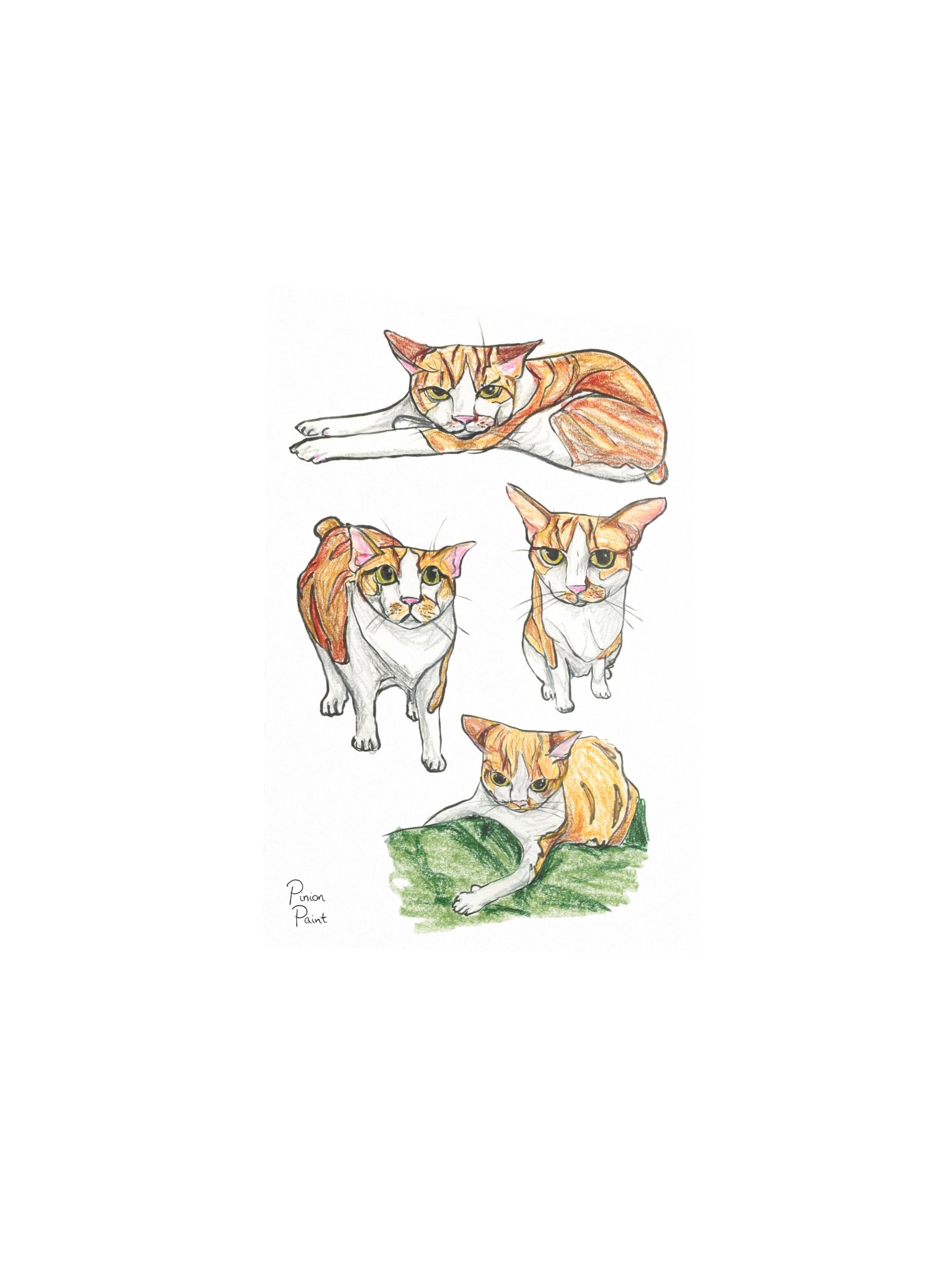 Sproot study print product image (5)