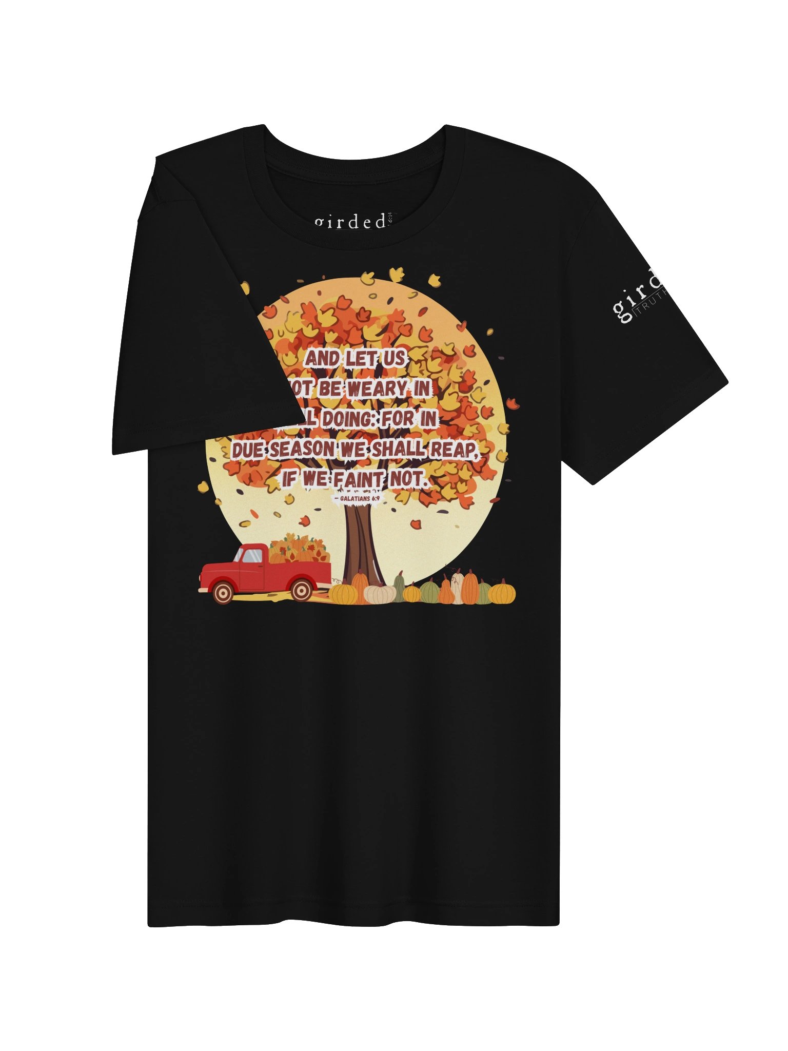 In Due Season Galatians 6:9 Tee product image (3)