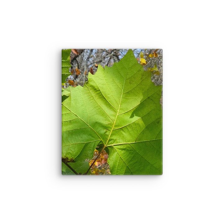 Veins of Nature Thin Canvas Wall Art product image (12)