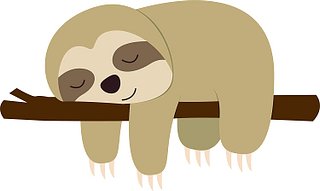 ASMRSloth