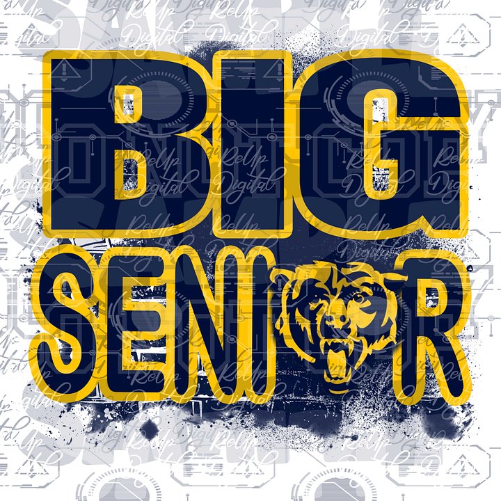 senior bears product image (1)