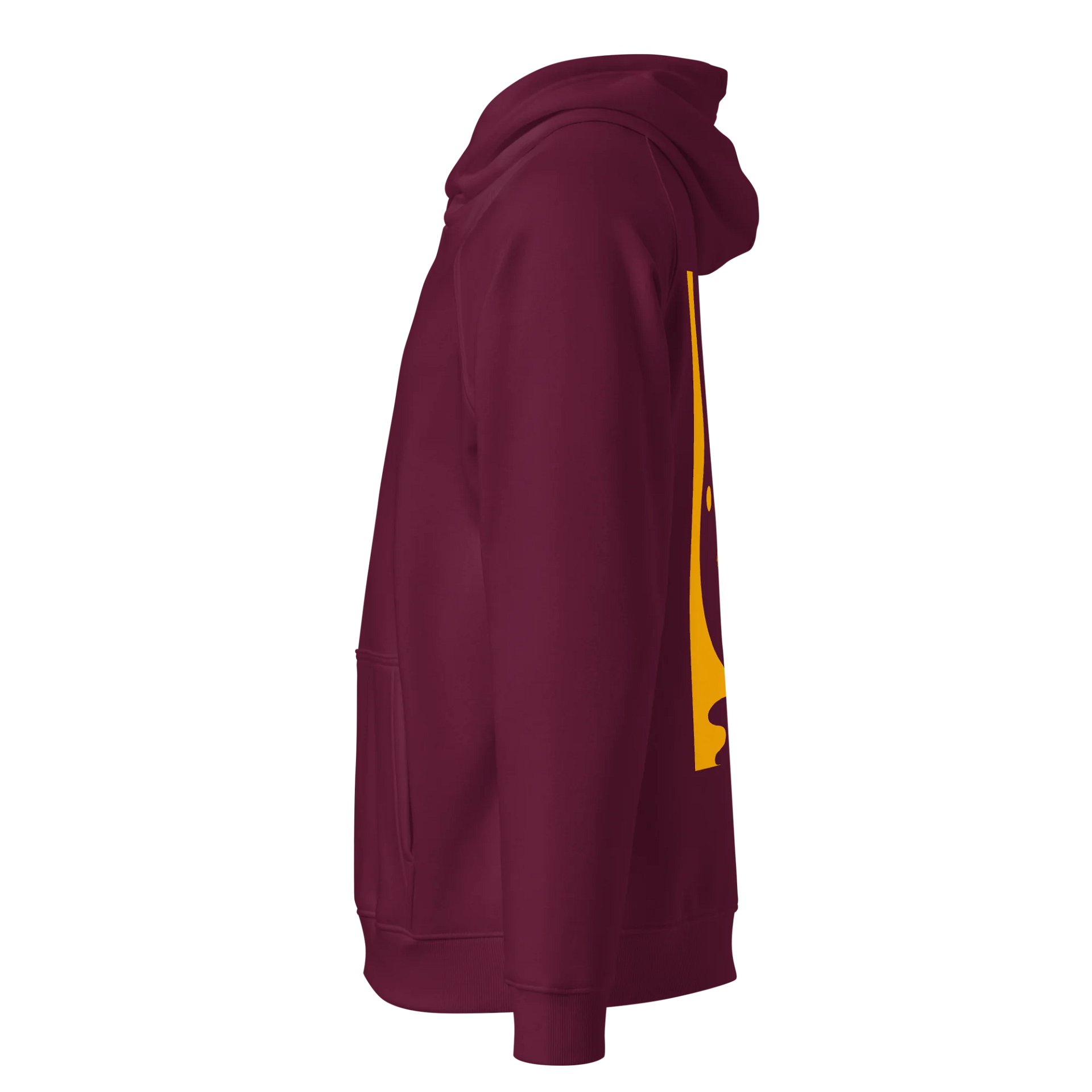 SOL'S Unisex Eco Raglan Hoodie product image (3)