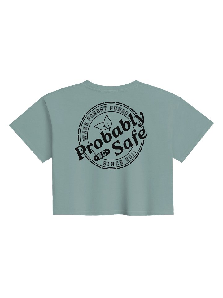 Probably Safe Stamp Crop — Wake Forest FUNGO product image (12)
