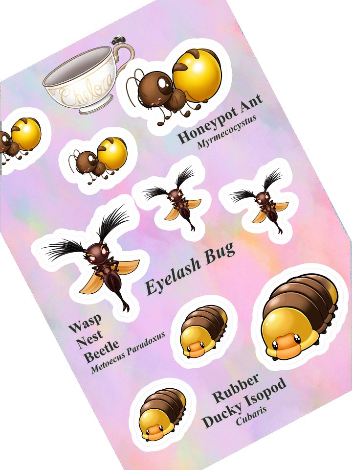 Buggie Badges 2 - Brown/Gold product image (1)