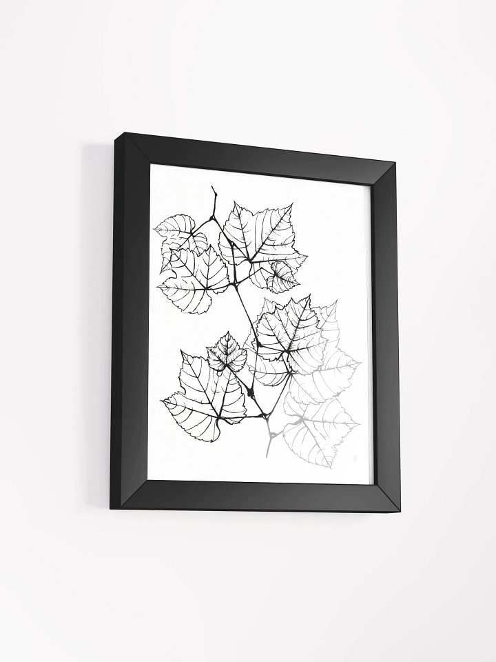 Botanical Bliss Framed Poster - Grape Leaves Elegant product image (5)
