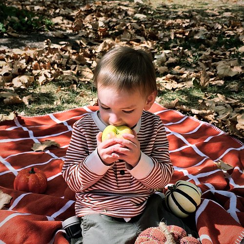 Family fall photos