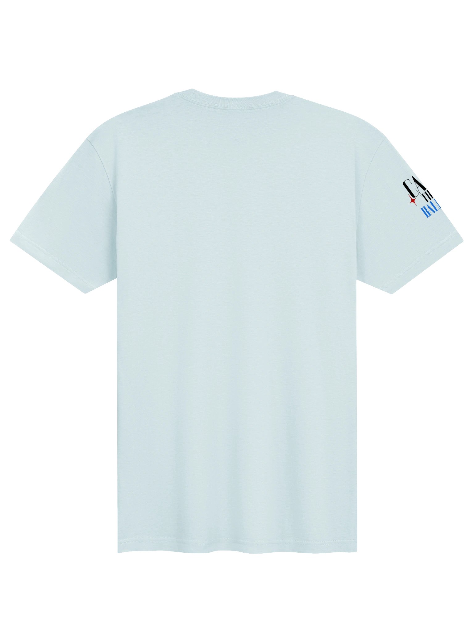 Cast That Ballot Tee | Brand Next Level product image (2)