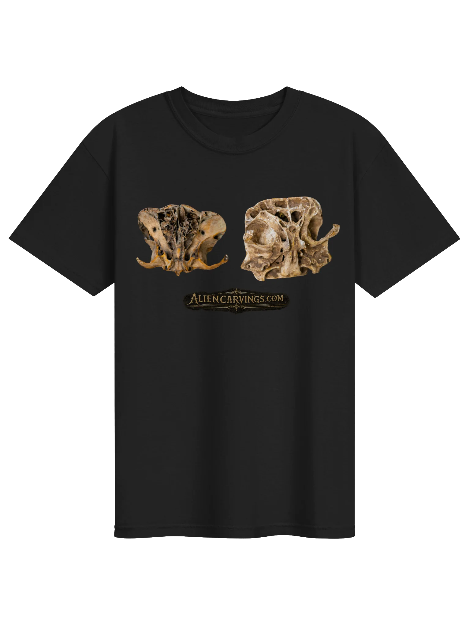 Nephilim Remains product image (1)