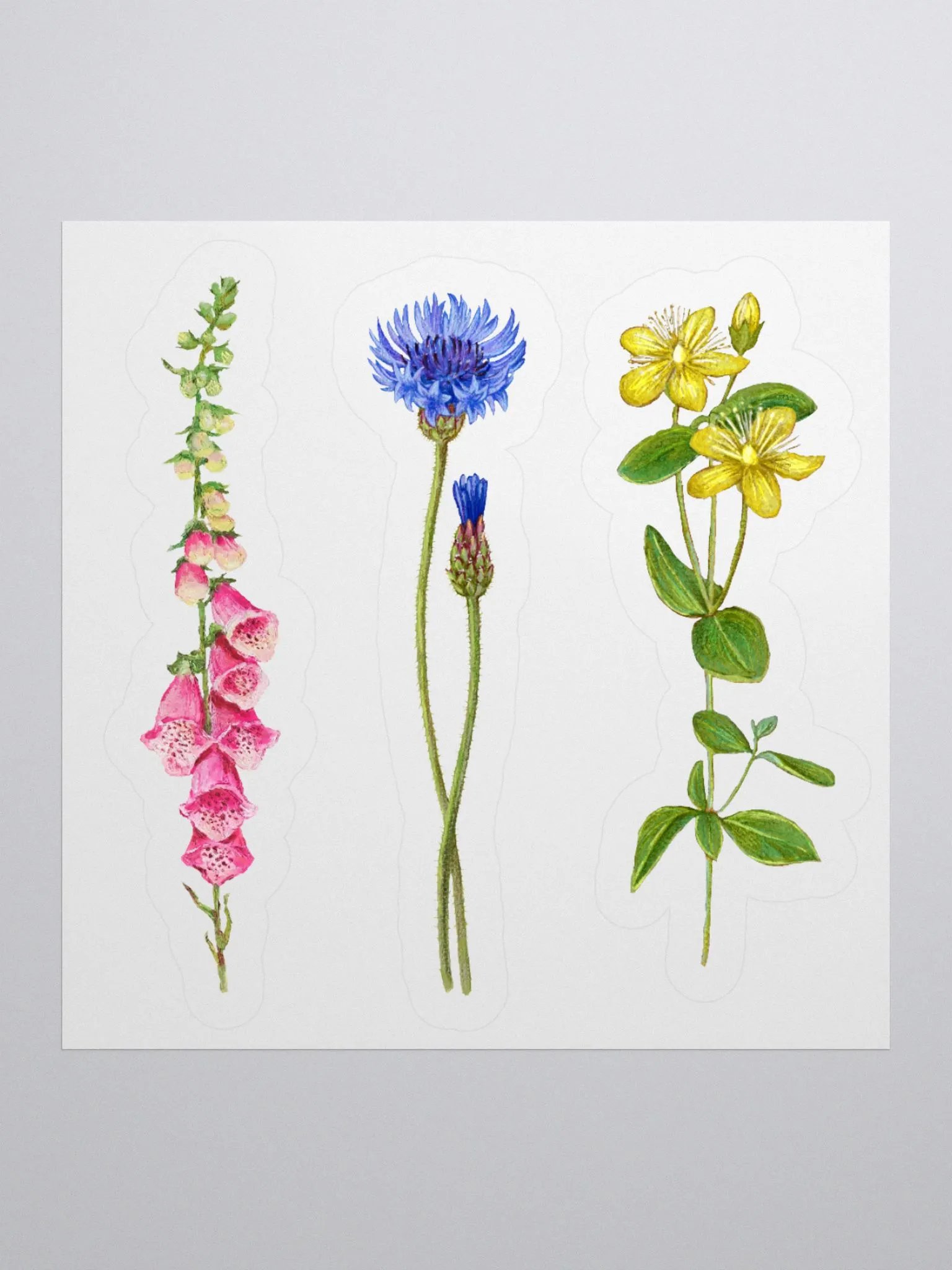 Botanical illustrations stickers product image (2)