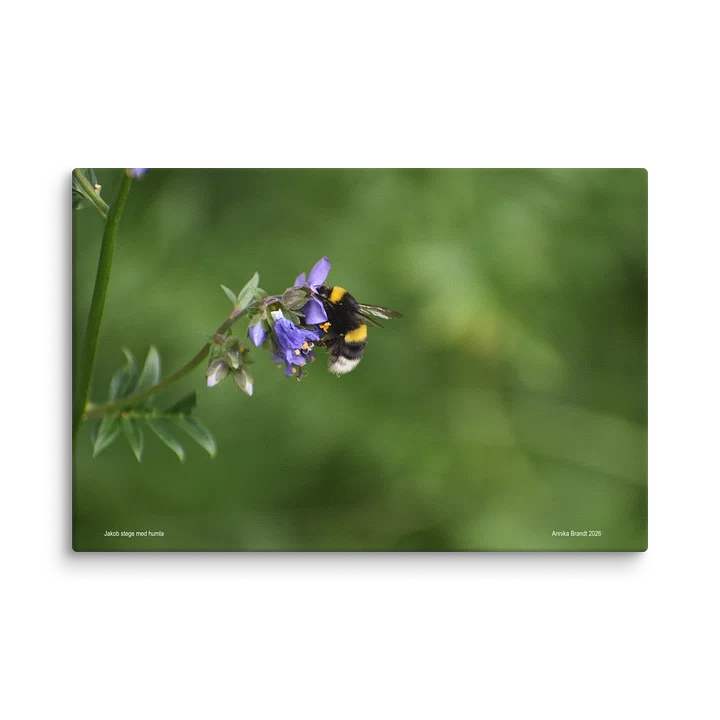Canvas: Jakobs stege med humla product image (1)