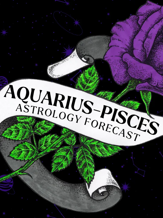 aquarius pisces cusp ★ astrology tarot forecast ★ august 2026 product image (1)