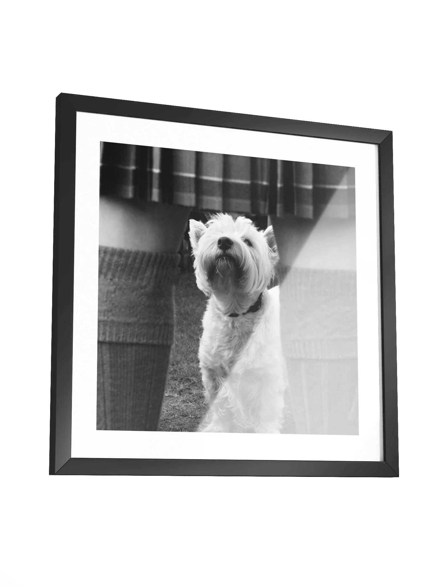 Wee Jock Print 2006 Lonach Games Scotland product image (3)