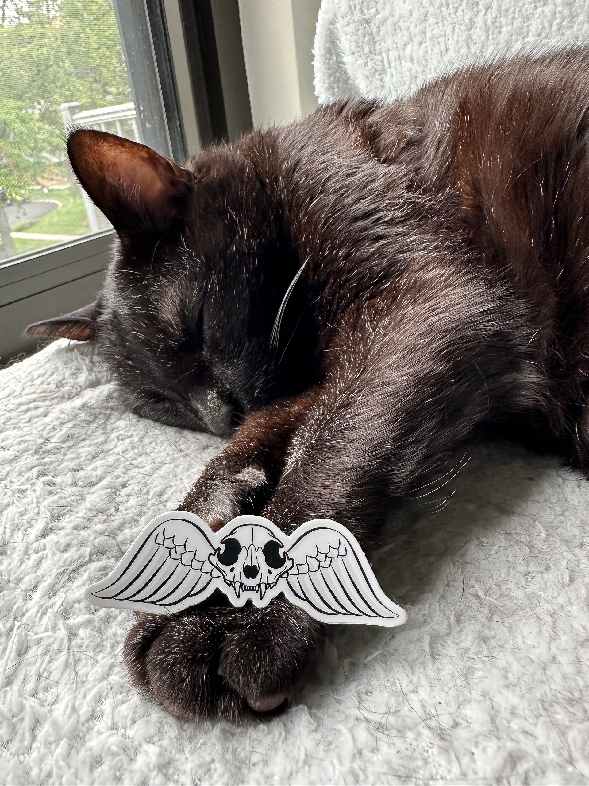 Meowmento Mori sticker (version without text) product image (2)