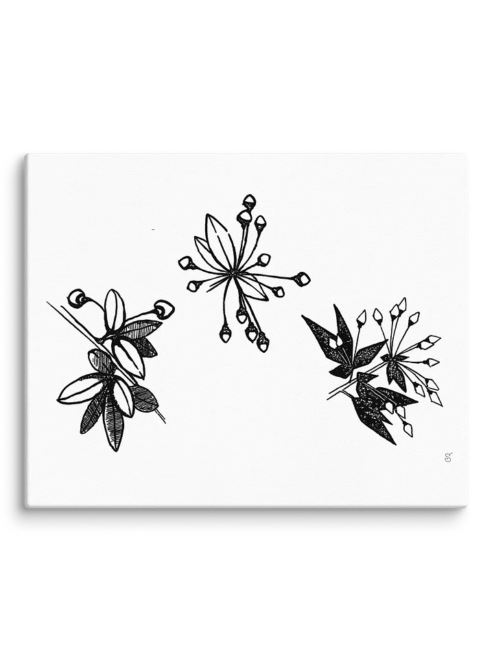 Blank Canvas Masterpieces - Stylized Plants product image (2)