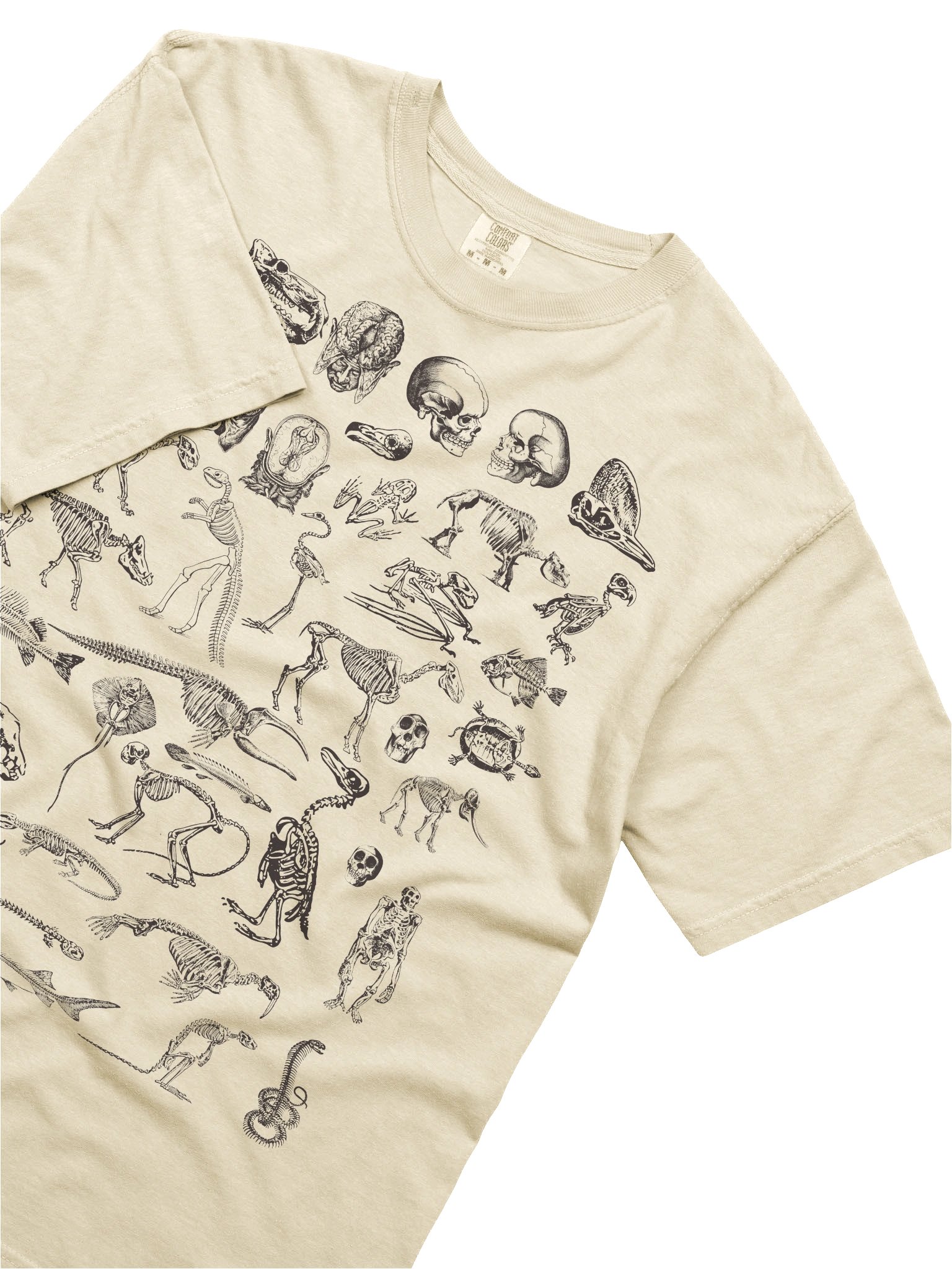 Dark Academia Skeletons Shirt – Vintage Anatomy Bones Illustration Graphic Tee product image (62)