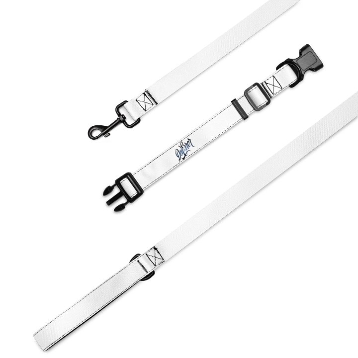 Pet Collar & Leash product image (1)