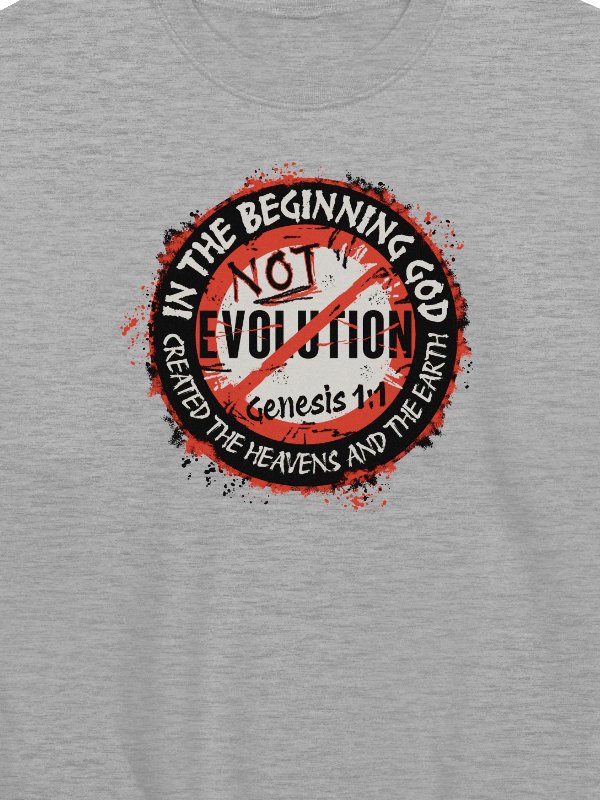 In The Beginning God, Not Evolution Sweatshirt product image (12)