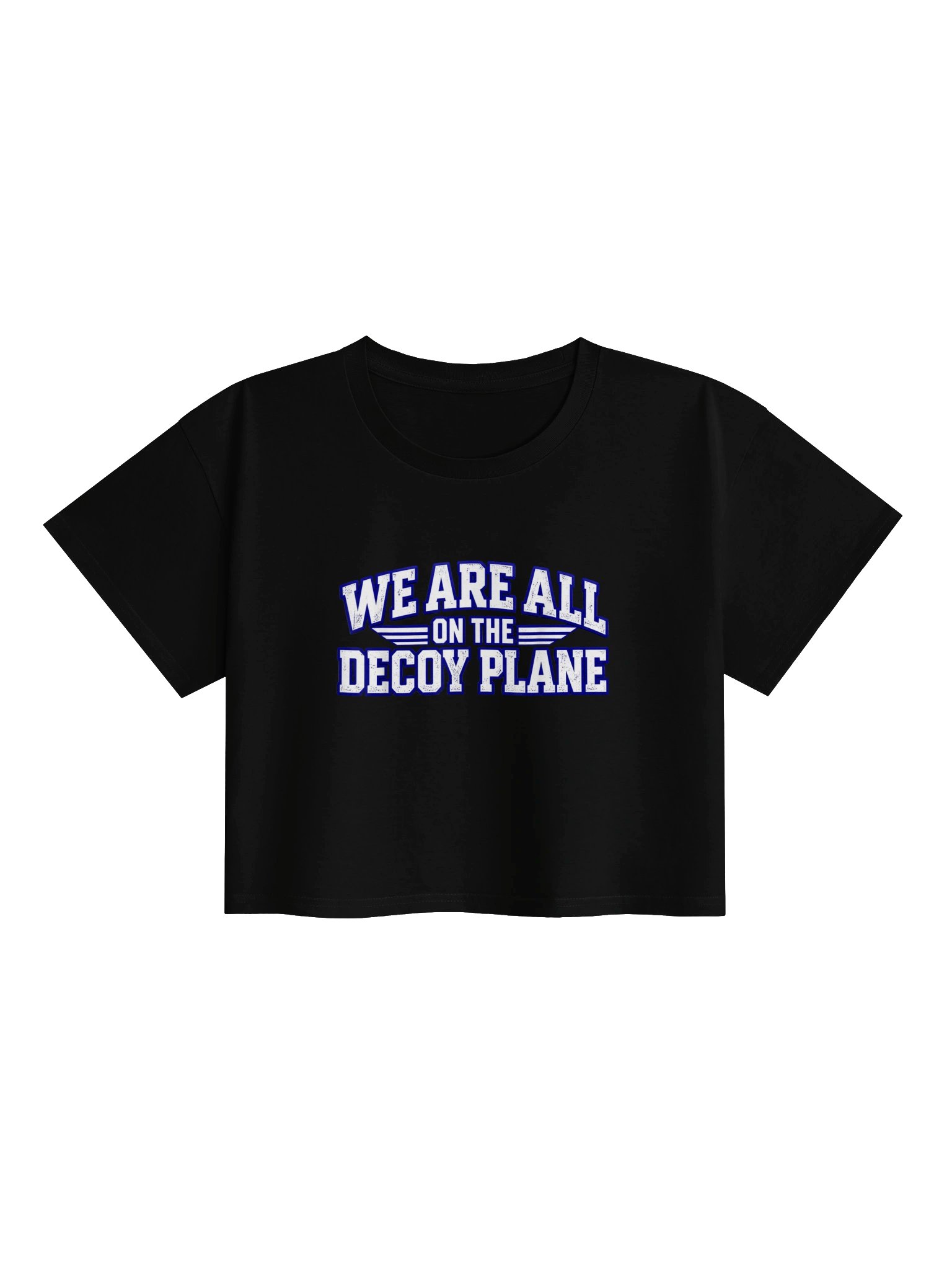 We are All On The Decoy Plane T-Shirt product image (1)