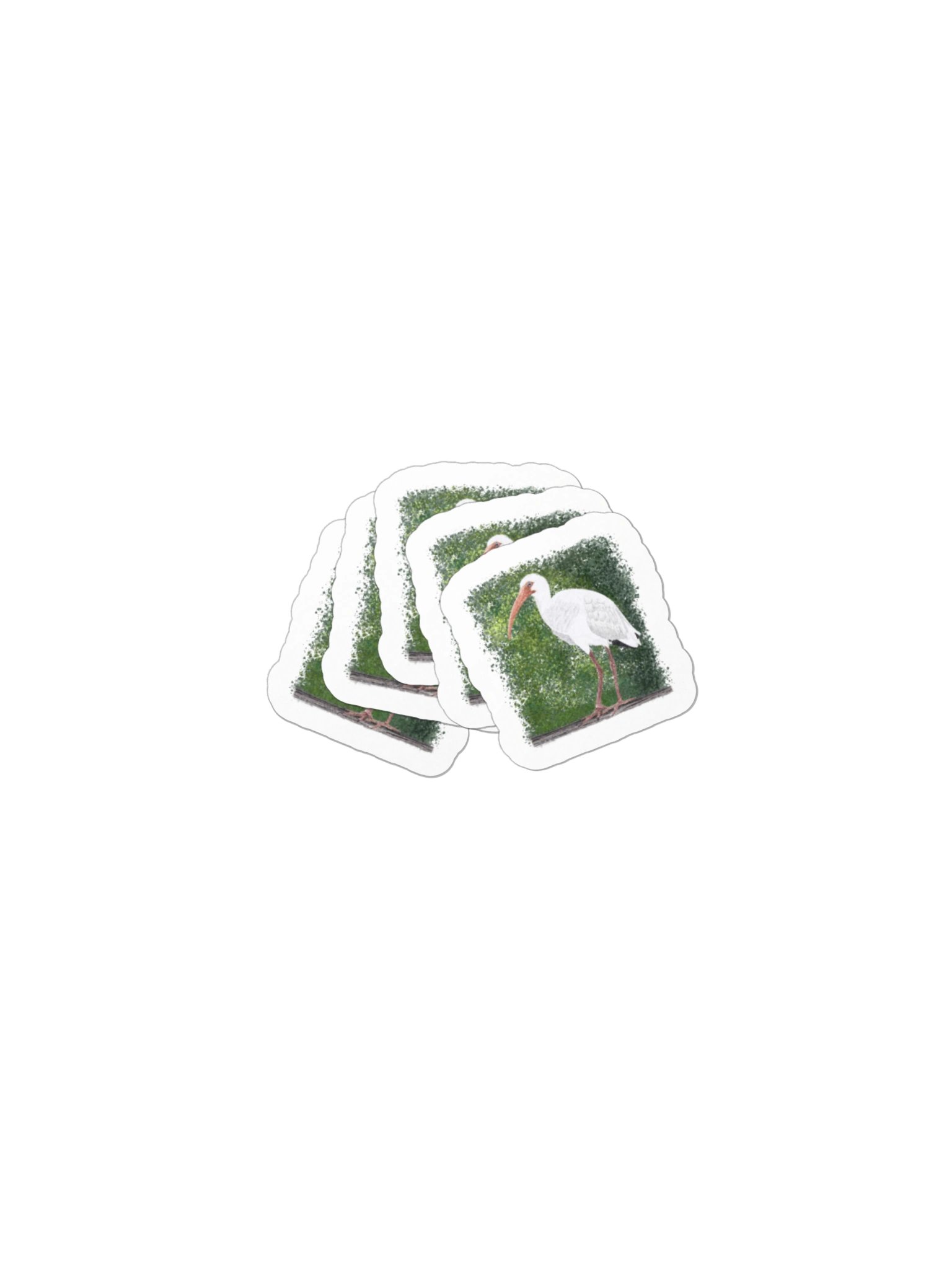 Ibis product image (3)