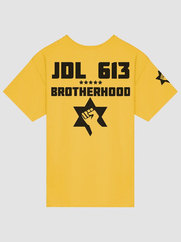 Fist of Unity T-Shirt product image (2)