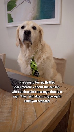 New Netflix Documentary: Currently rehearsing my testimony for when they ask why I never responded to “Hey.” #worklife #netfl...
