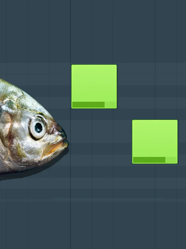 Project – how to BASS product image (1)