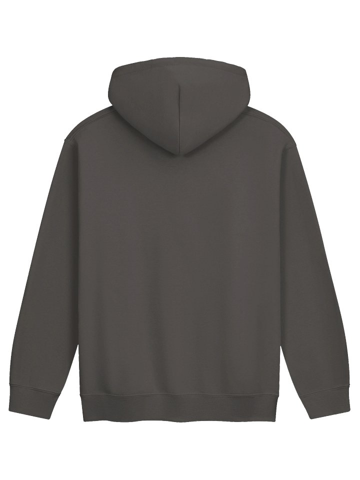 The Moldy Bigots Hoodie product image (13)
