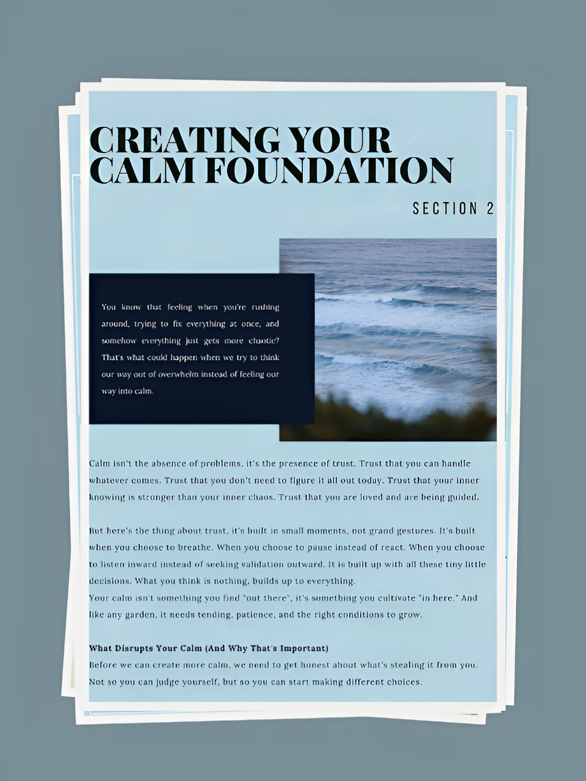 From Overwhelm to Calm: A Workbook for Trusting Your Way Forward product image (4)