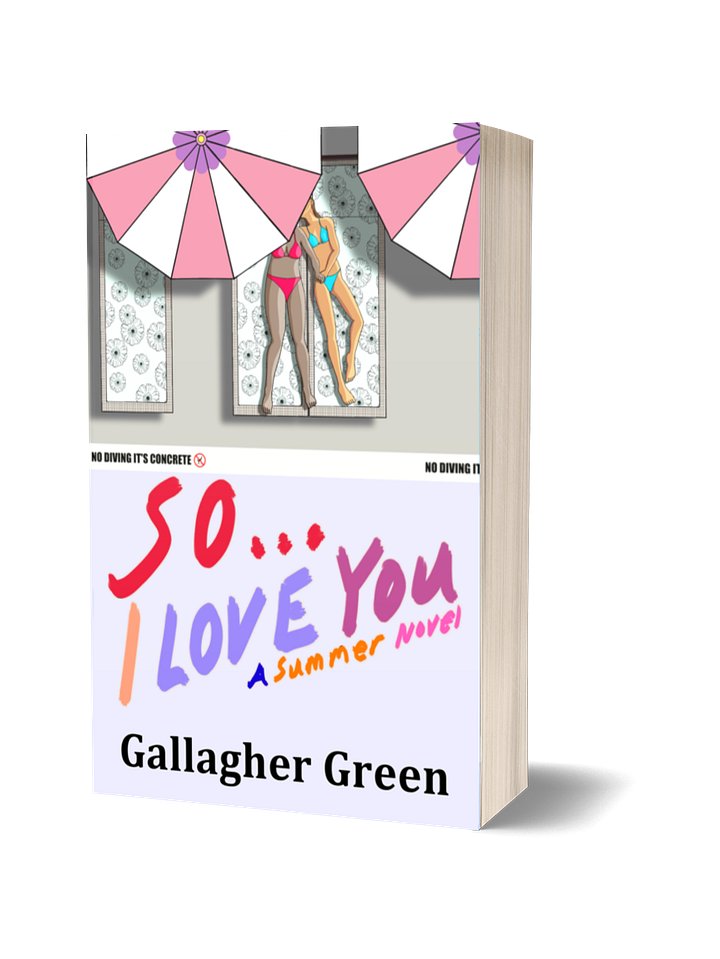 So... I Love You: A Summer Novel product image (1)
