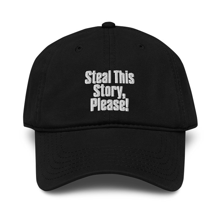 Steal This Story Please - Black Embroidered Cap product image (1)