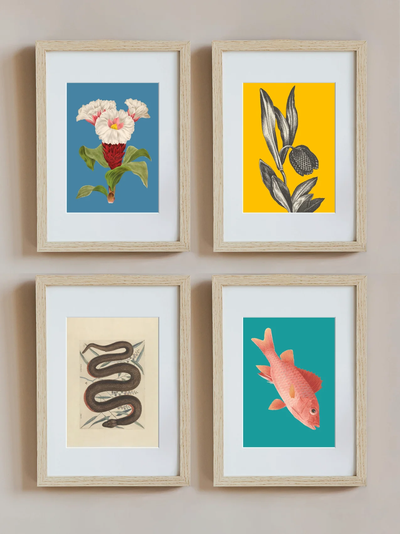 Colourful Tetraptych product image (1)