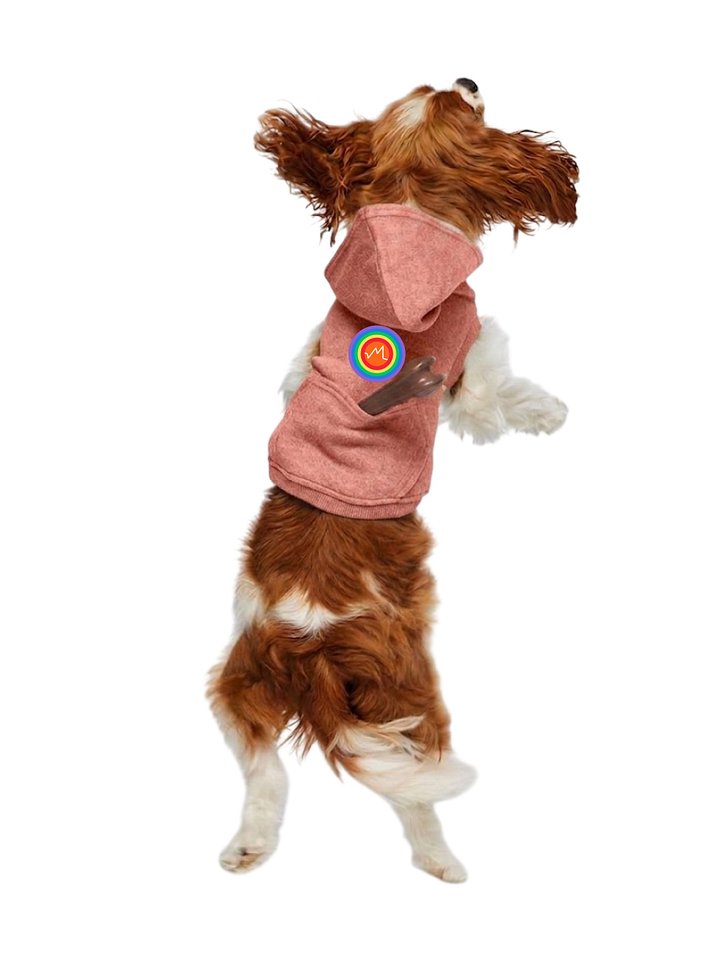 Omnidian - Dog Pride Hoodie product image (1)