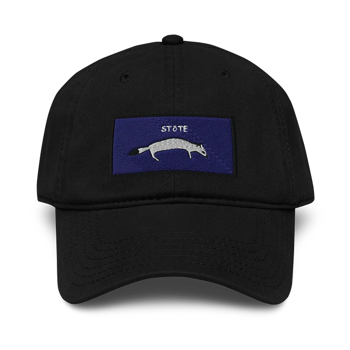 Stote Garment-Washed Baseball Cap product image (1)