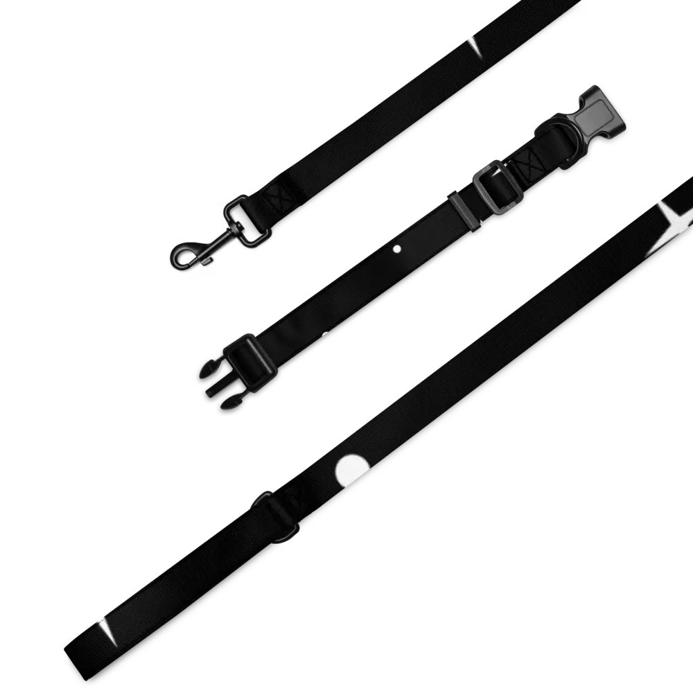 Zenith Abstract Pet Collar & Leash Set product image (1)