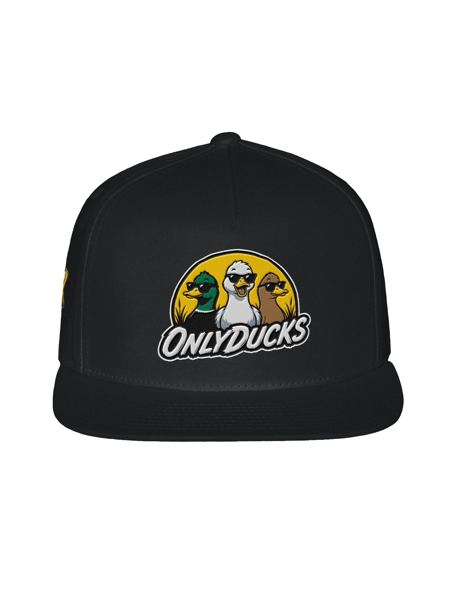 Founding Flock Snapback product image (1)