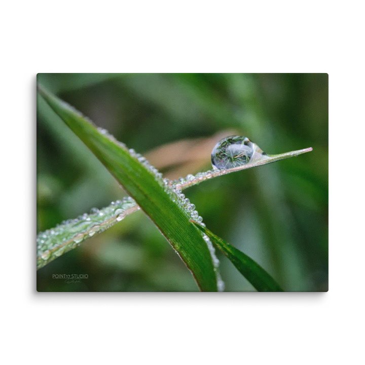 Crystal Ball #1 - Print On Canvas product image (2)