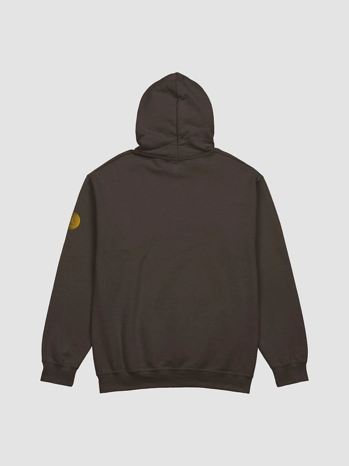 Hawai'i Volcanoes National Park eco friendly hoodie product image (2)