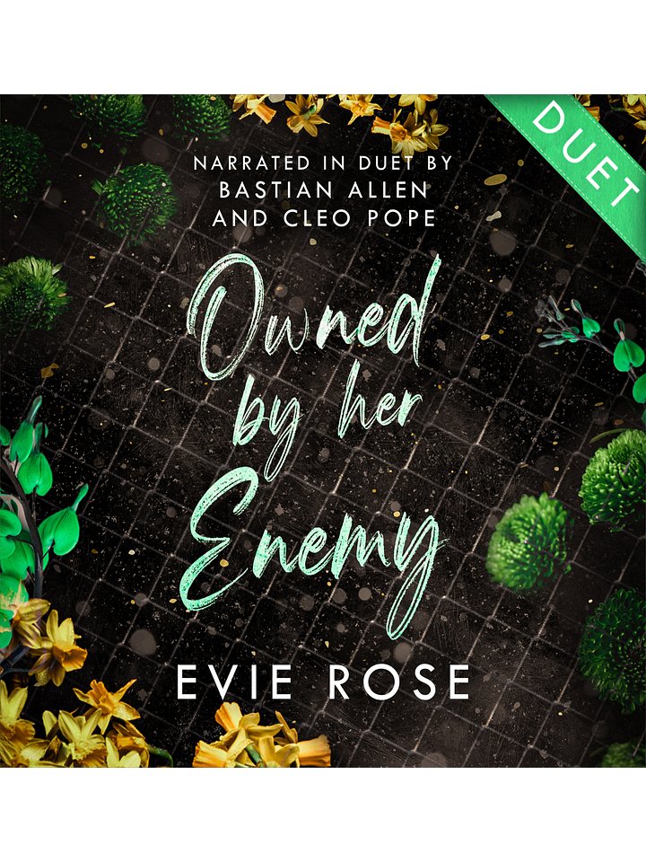 Owned by her Enemy - Duet Audiobook product image (1)
