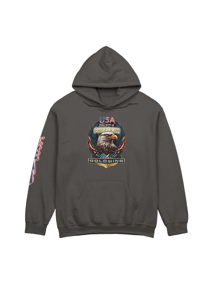 America 250 GOLDWING Hoodie product image (3)
