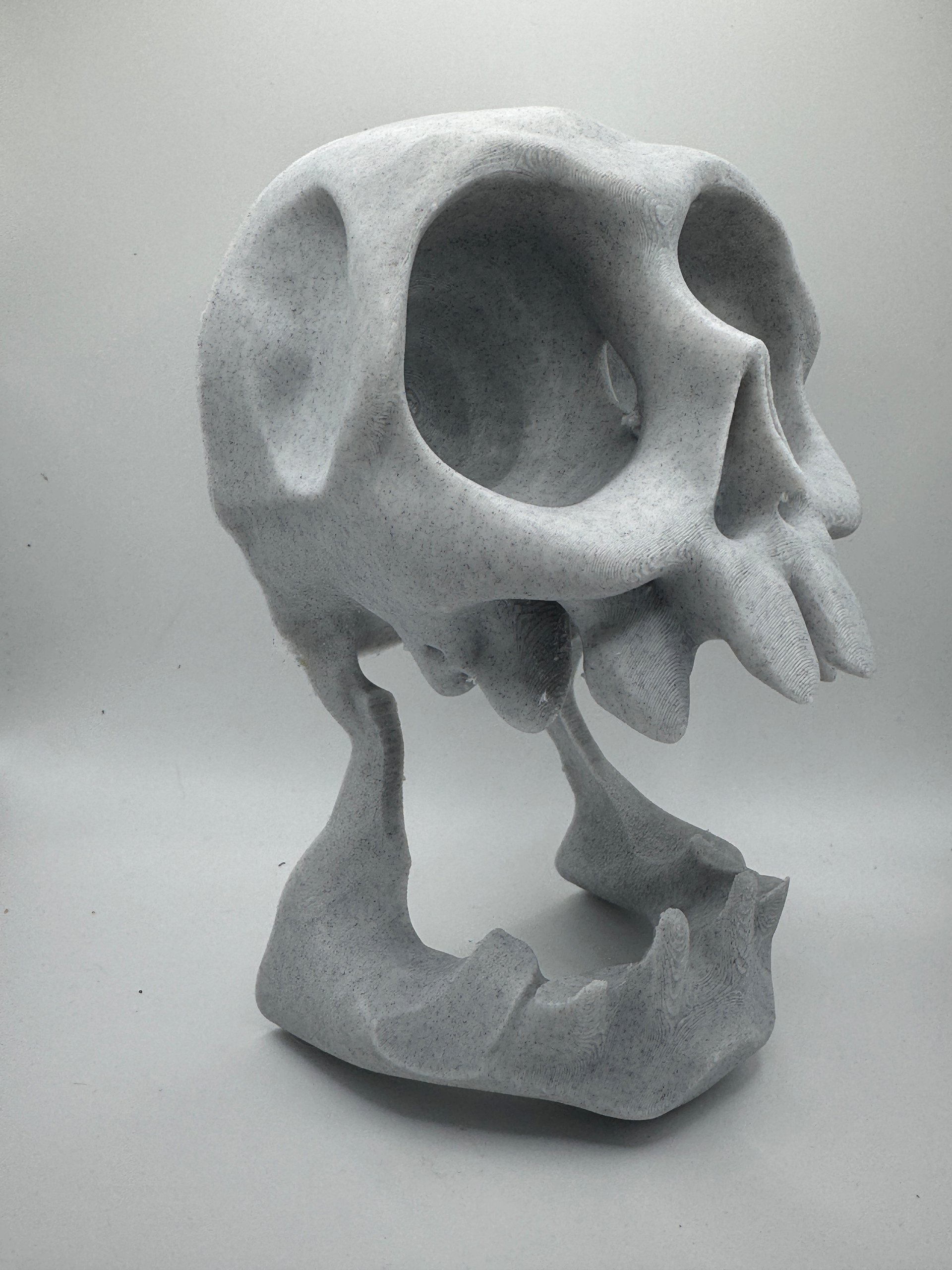 Treasure skull gamepad holder product image (5)
