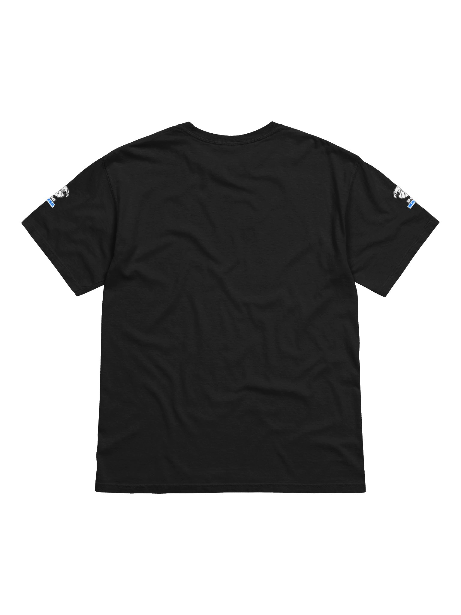 Comfort Colors Garment-Dyed Heavyweight T-Shirt product image (2)