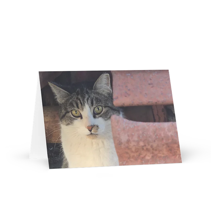 Banjo Peeking In Greeting Card product image (1)