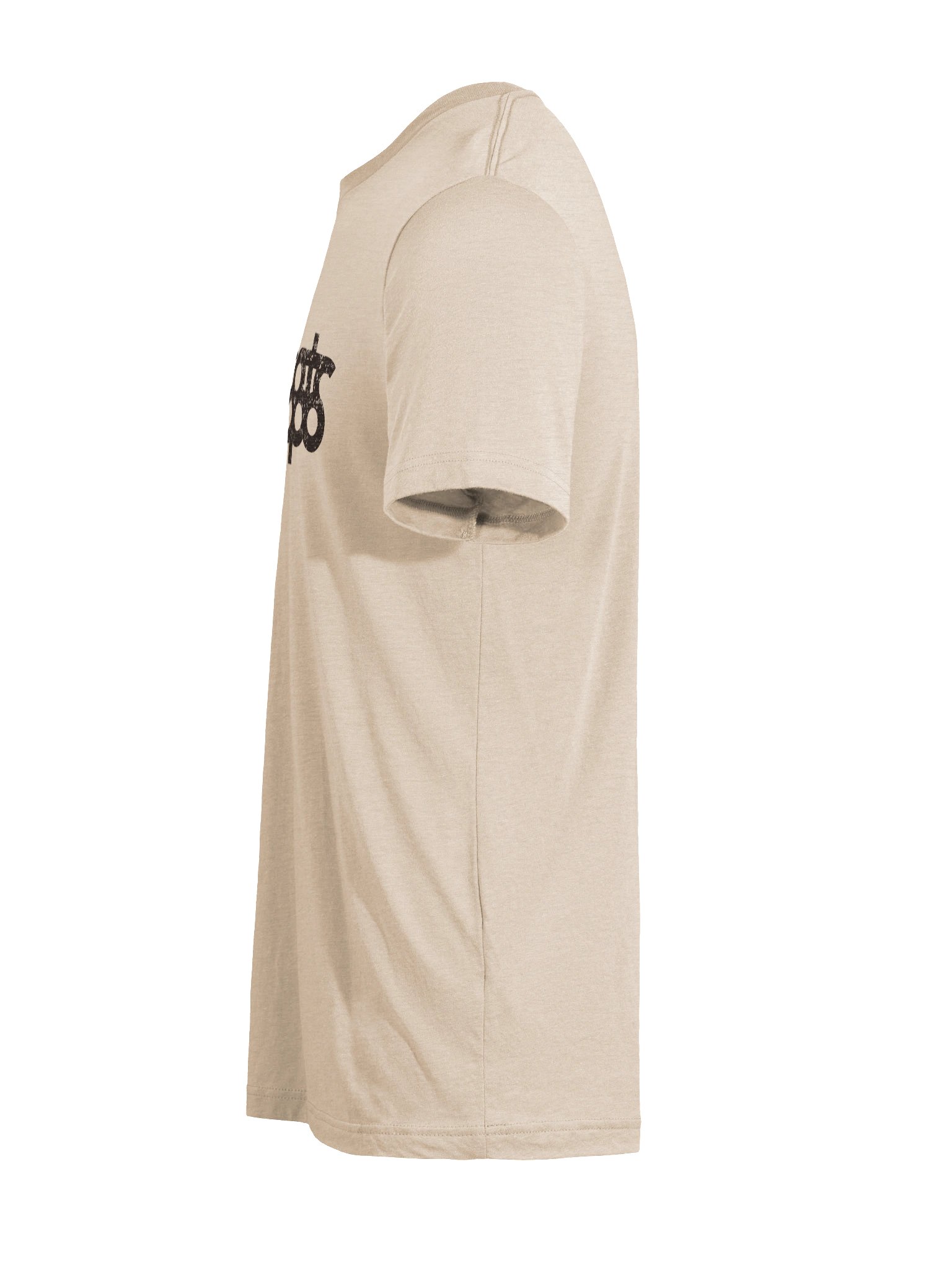 Indecipherable Triblend Tee product image (11)