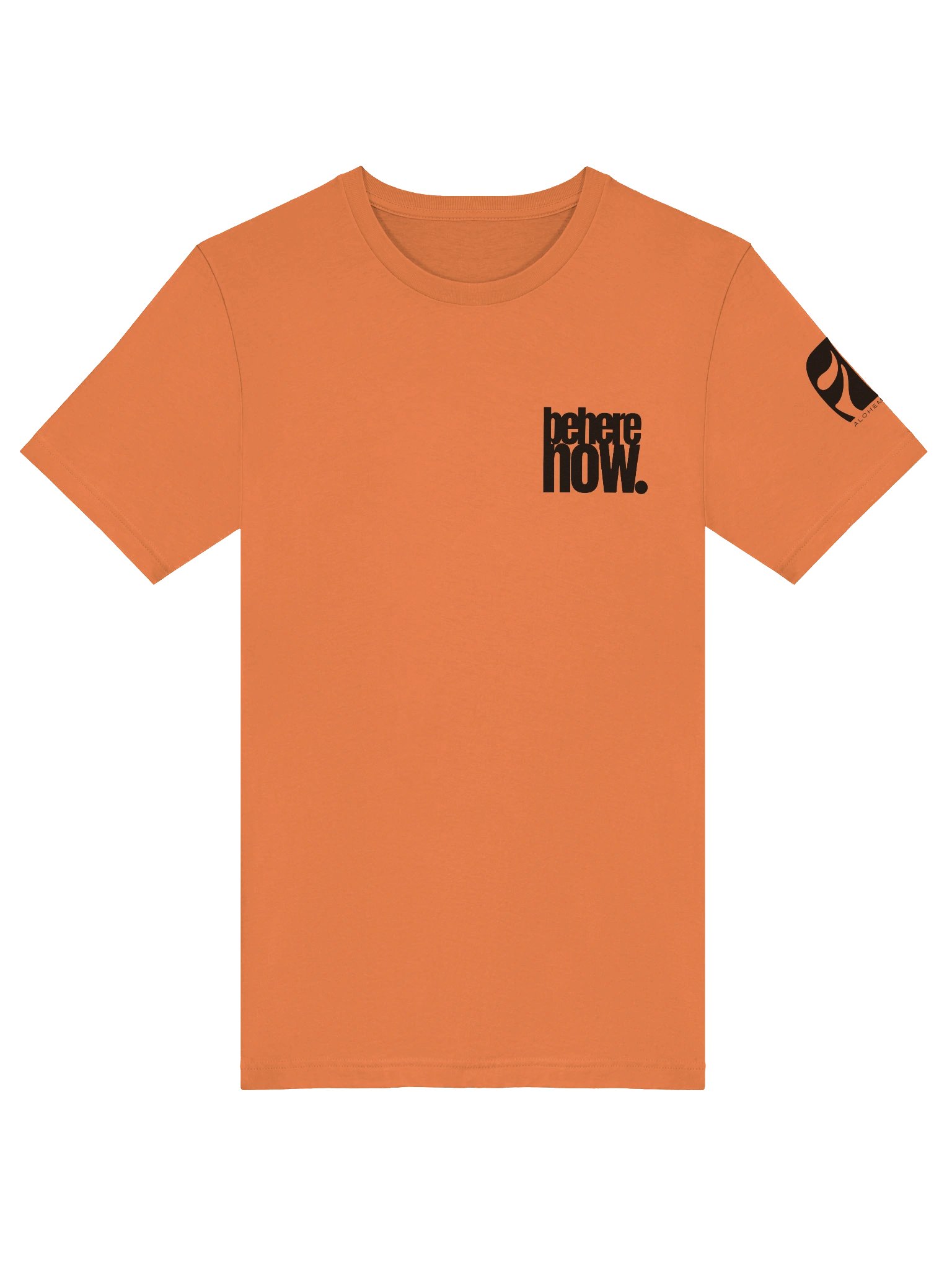 BE HERE NOW // The Present State Tee product image (20)