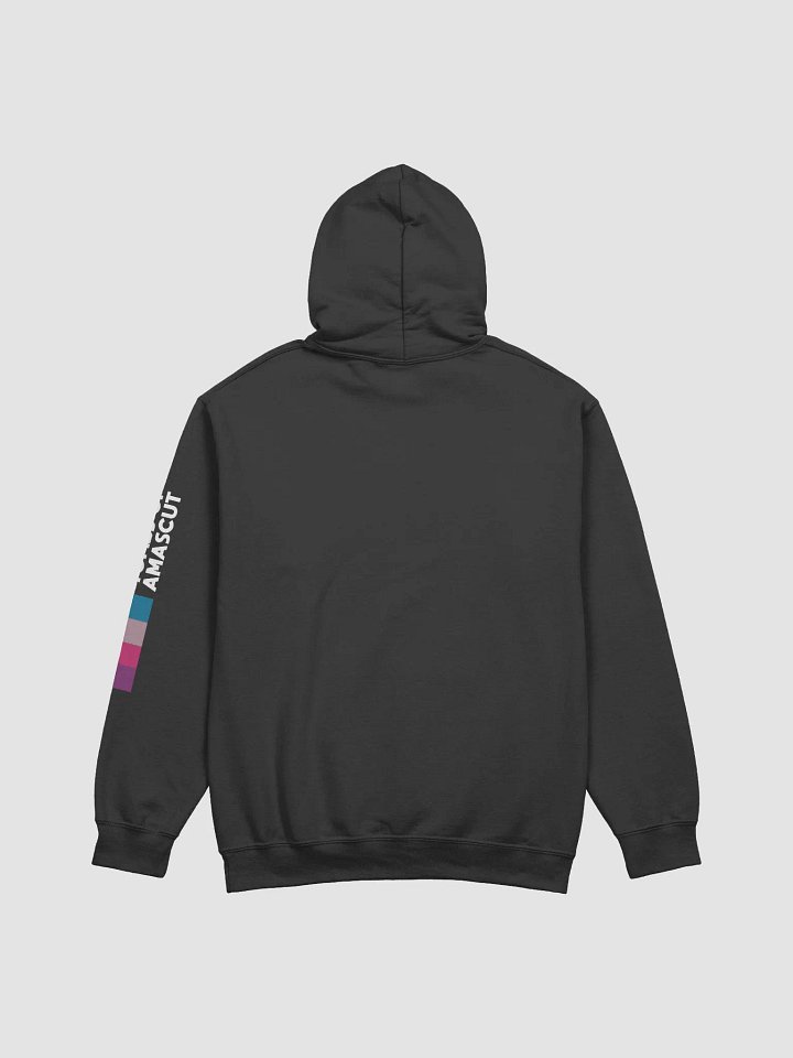 Elidinis Warden - Hoodie (Black) product image (2)