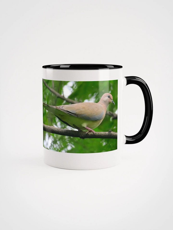 IUCAA Birds MUG product image (3)