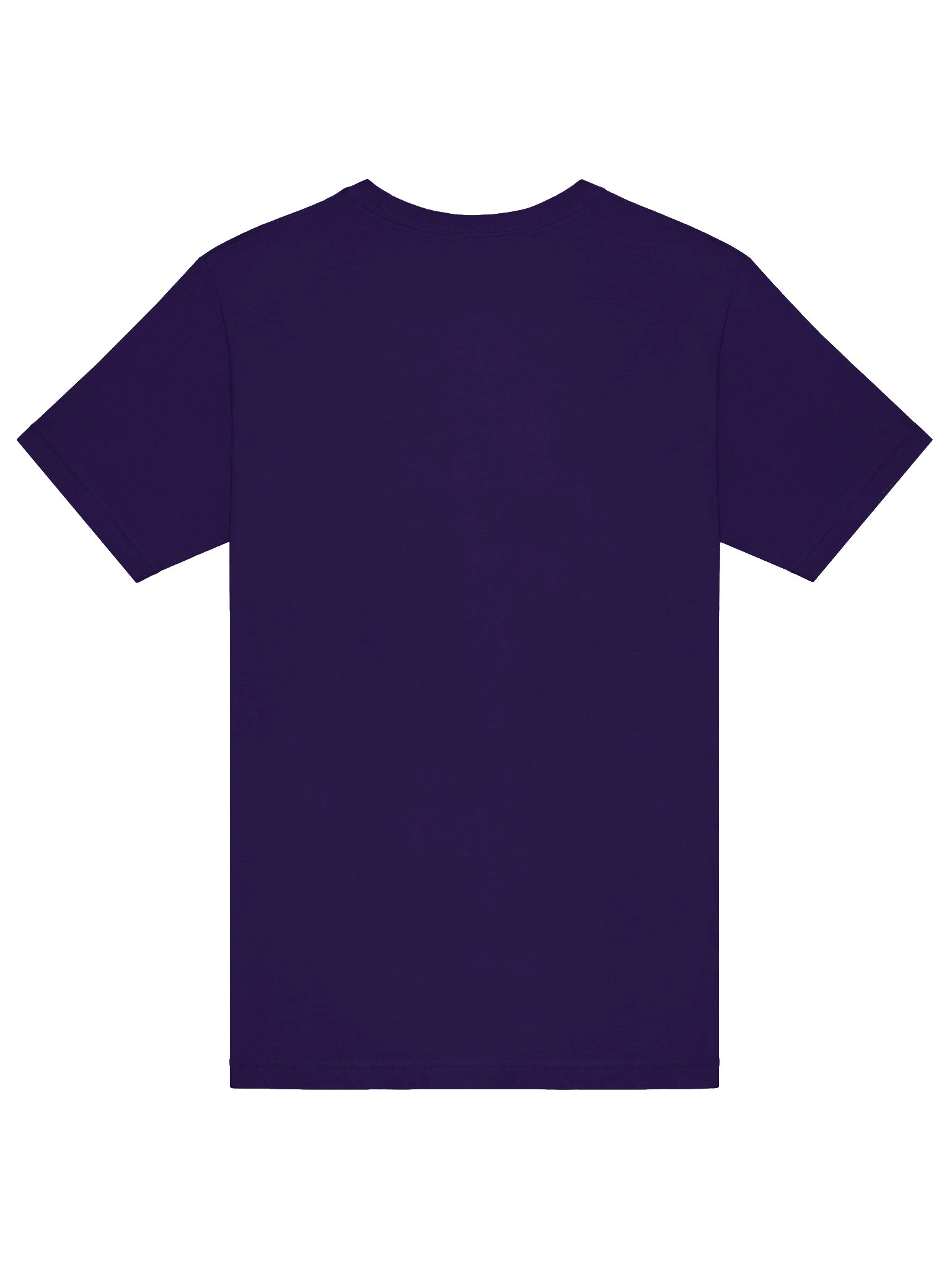 Pity the Sky 1925 Tee product image (8)