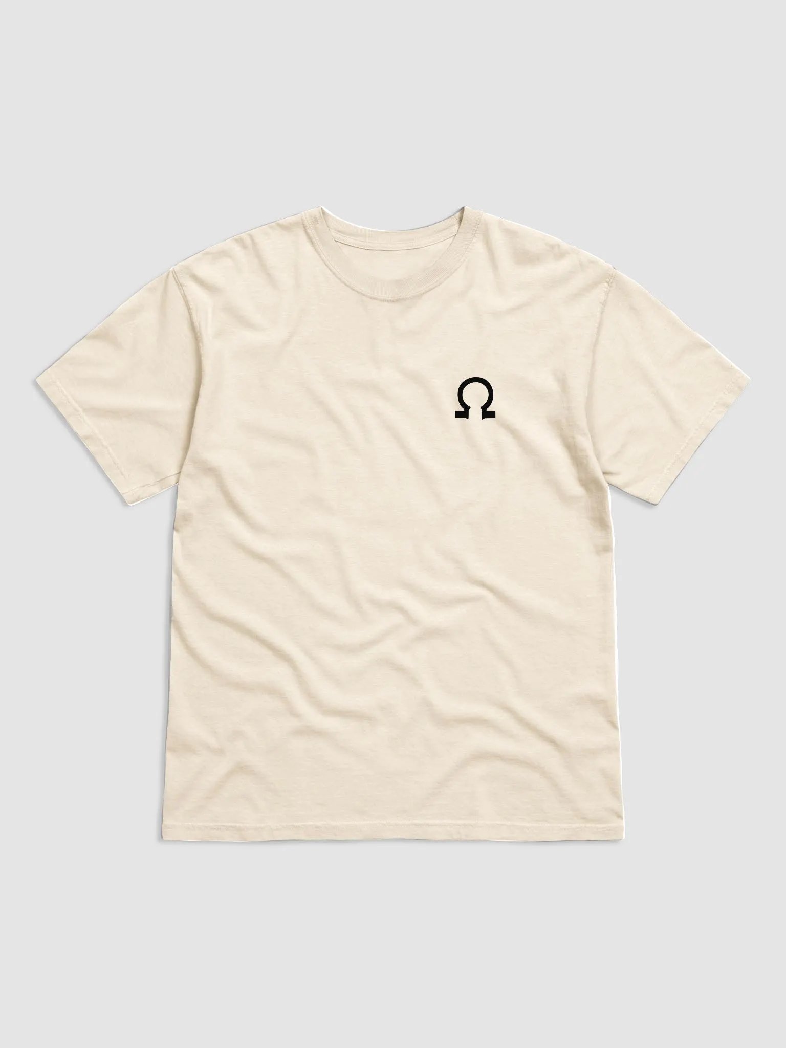 JOLTRON Heavyweight Tee product image (2)